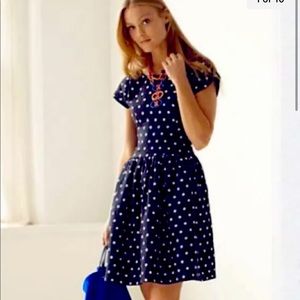 Anthropologie Lili’s Closet Navy Polka Dot Fit & Flare Dress